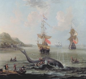 Walvisvangst in een estuarium